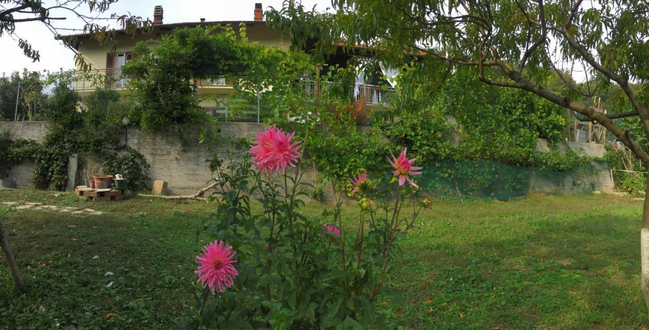 Bed and Breakfast Oca Carolina Buttigliera Alta Exterior foto