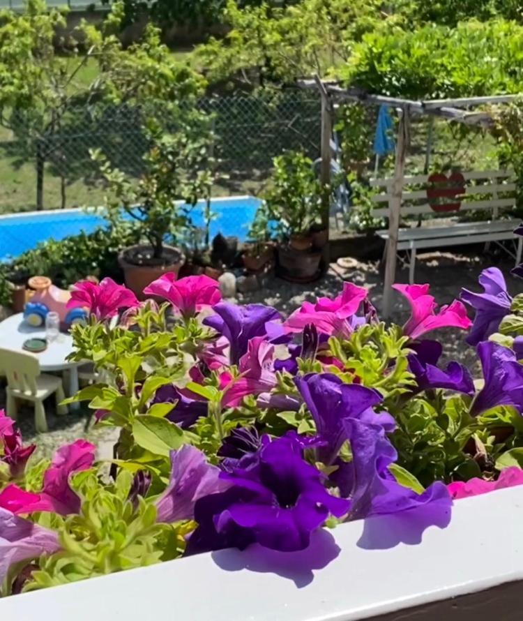 Bed and Breakfast Oca Carolina Buttigliera Alta Exterior foto